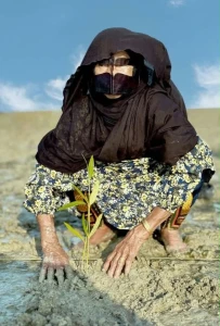 برگزاری آیین «چی چکا حرا سهیلی» با رویکرد گردشگری احیاگر در روستای جهانی سهیلی؛ یادواره زنده‌یاد ماما حوا