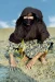 برگزاری آیین «چی چکا حرا سهیلی» با رویکرد گردشگری احیاگر در روستای جهانی سهیلی؛ یادواره زنده‌یاد ماما حوا
